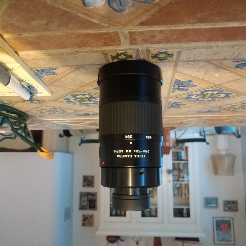 Oculaire zoom Leica 25x 50x Oculaire zoom Leica 25x 50x