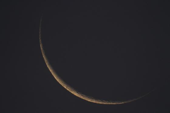 Toute jeune Lune... Toute jeune Lune...