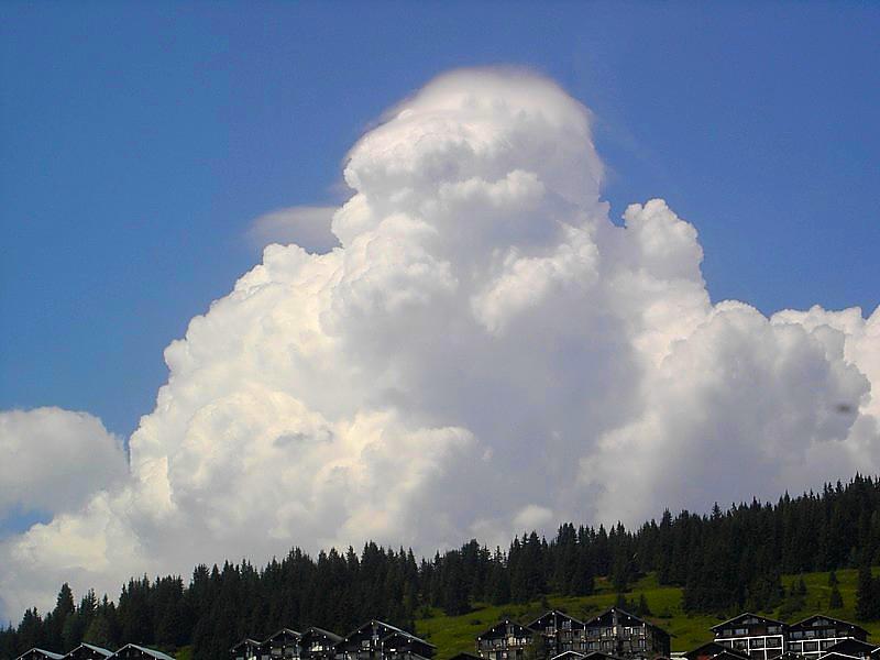 Cumulus congestus Cumulus congestus