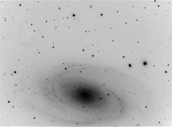 M81 NEGATIF