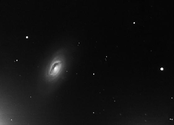 M64