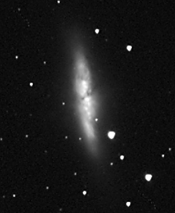 m82 m82