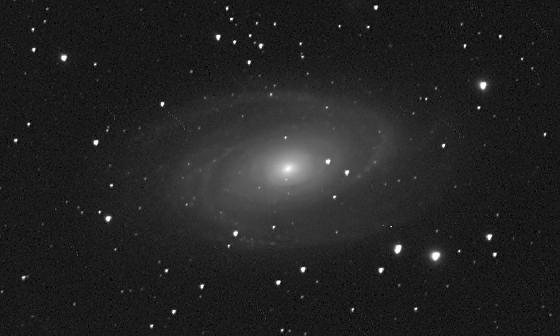 m81 m81