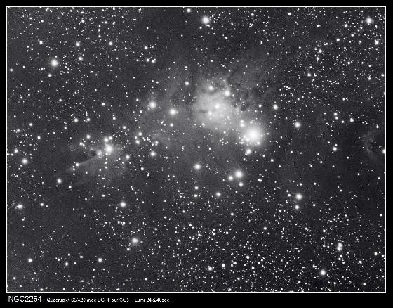 ngc2264 ngc2264