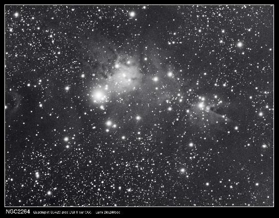 ngc2264 ngc2264