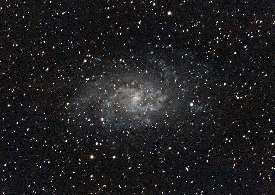 M33