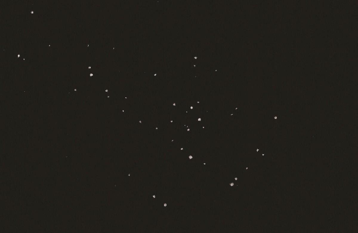 M50_122019