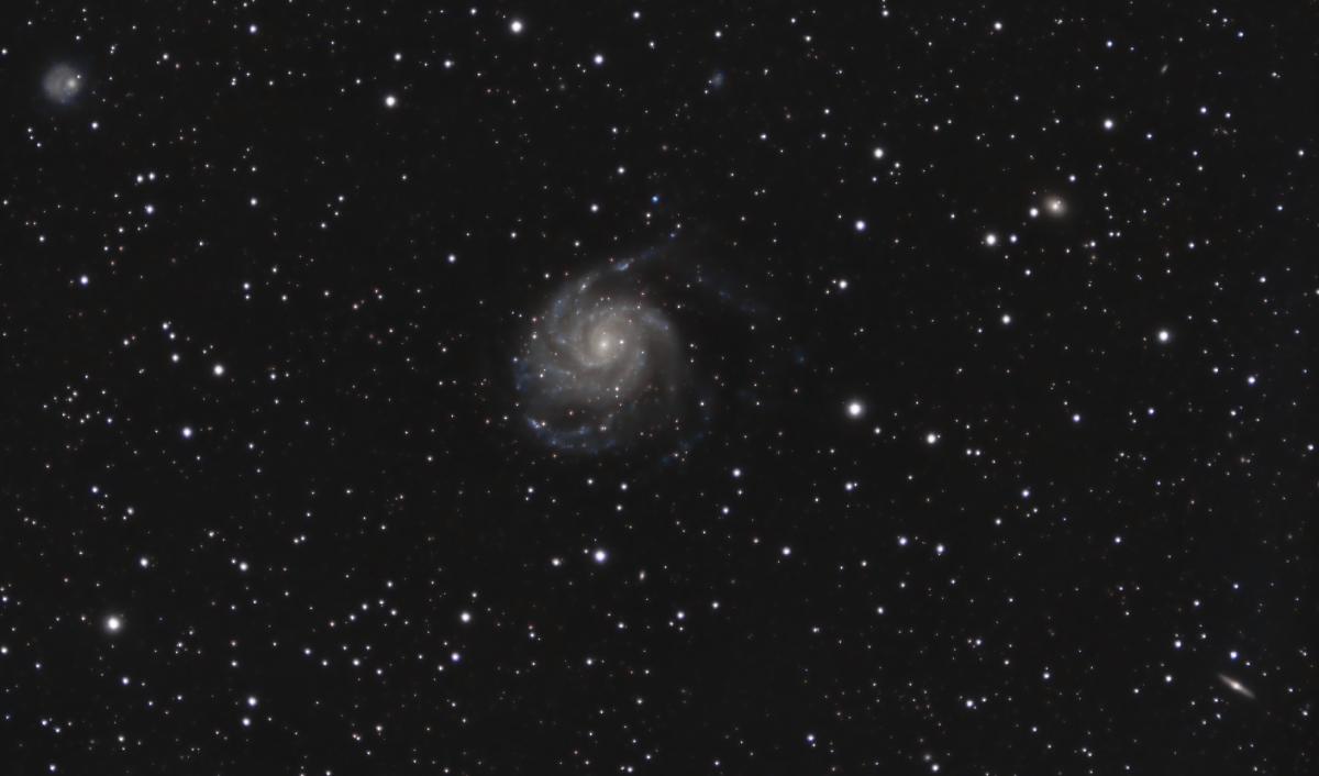 m101 m101