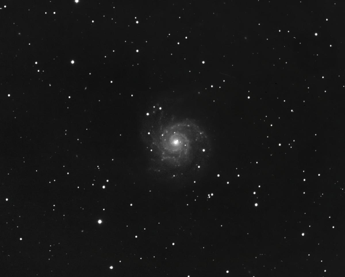 M74