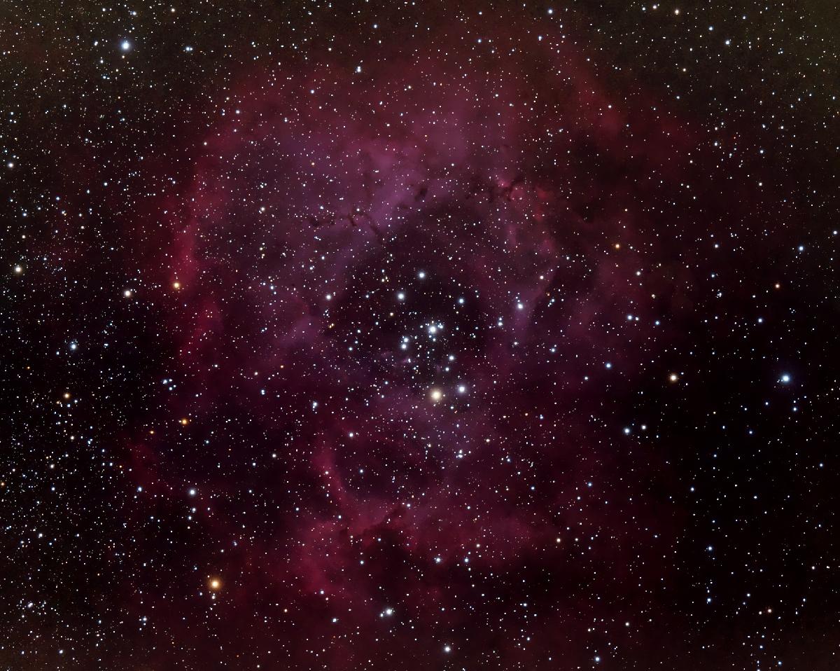 Rosette