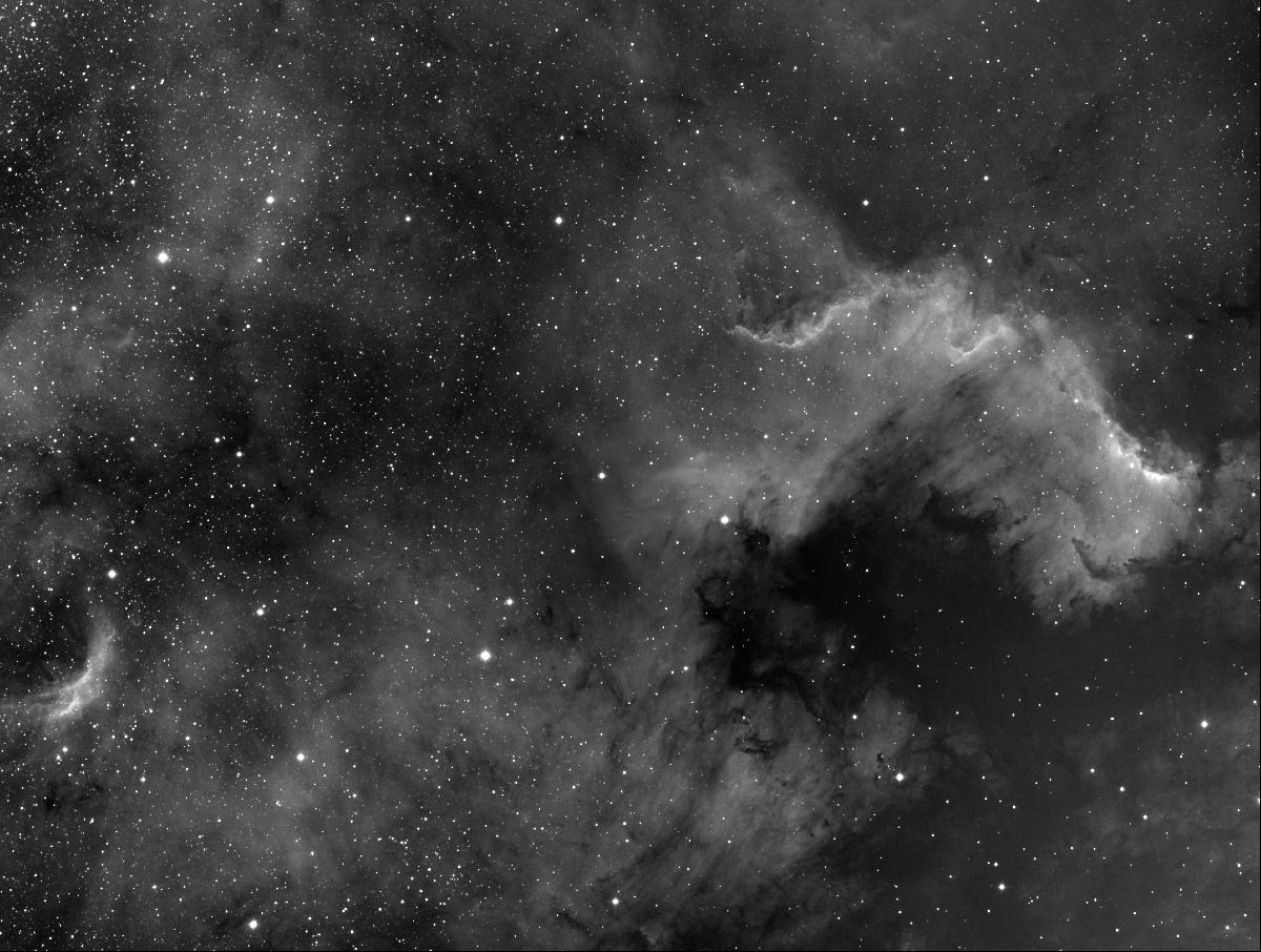 NGC7000