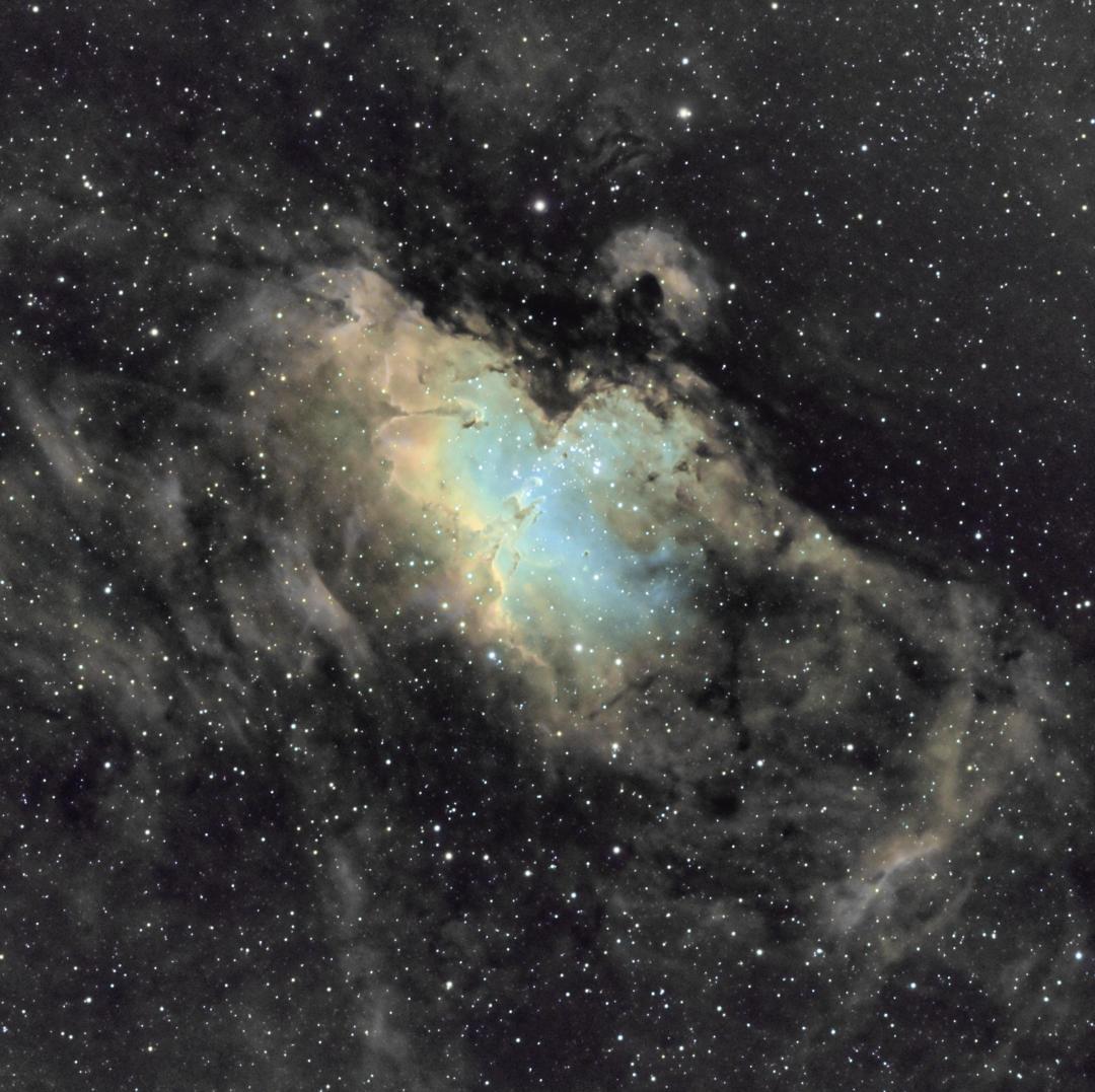 M16 NCN 2020