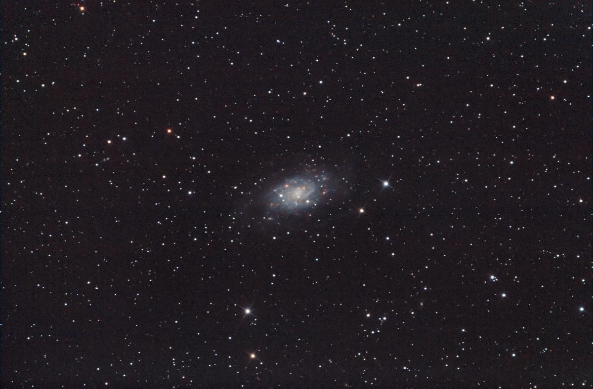NGC2403