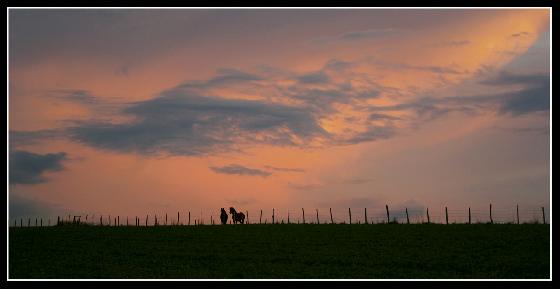 coucher de soleil chevalin