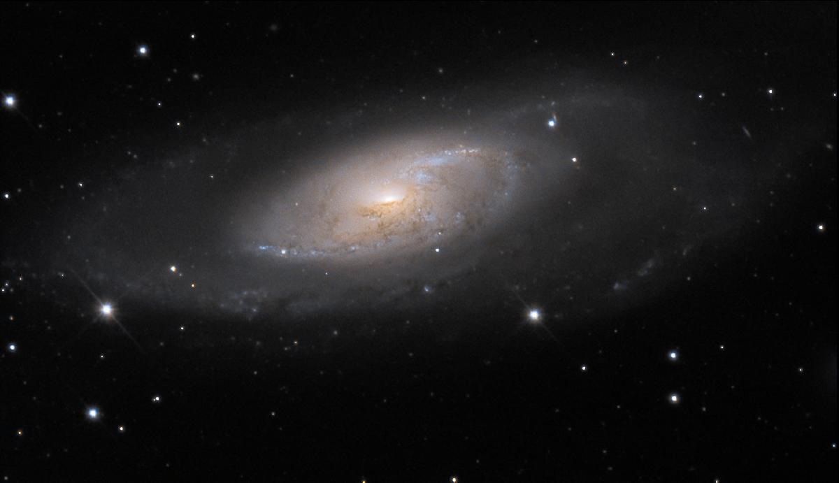 M106 M106