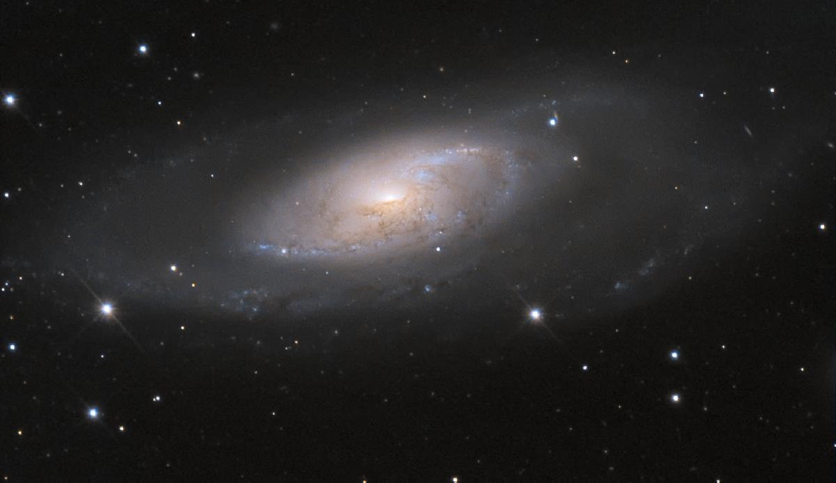 M106-bis M106-bis