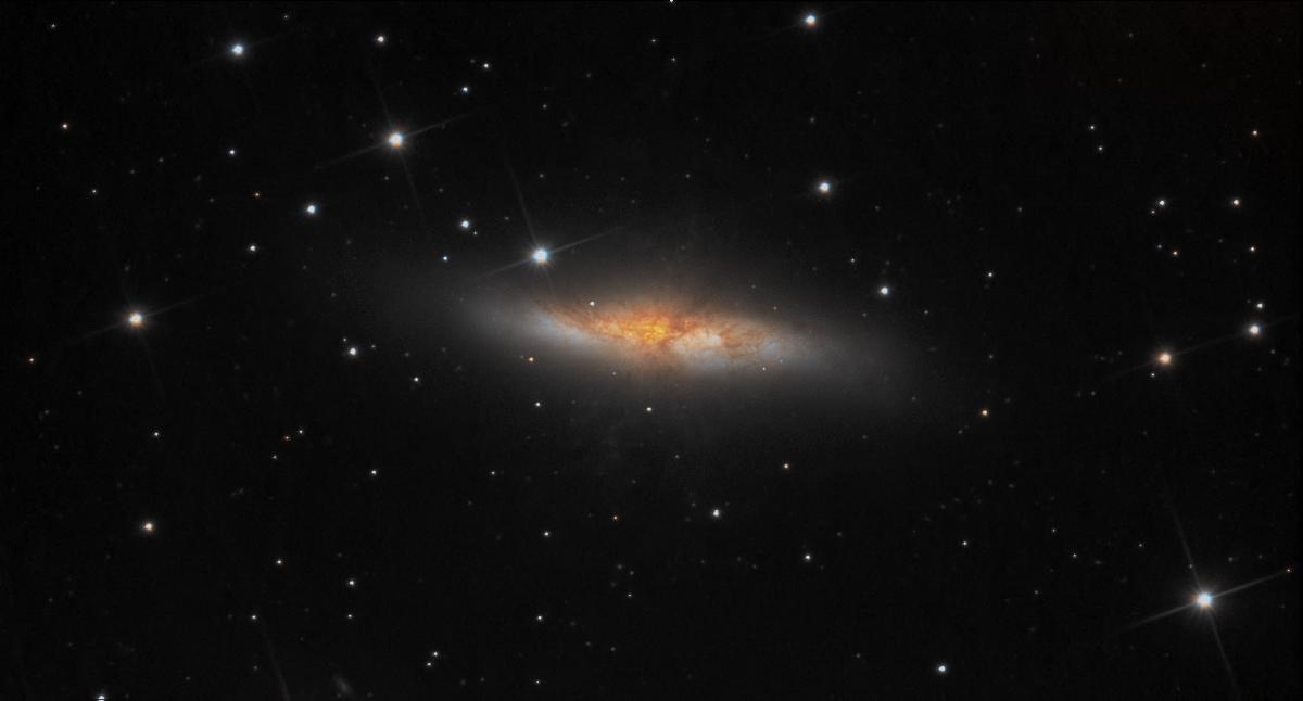 M82 M82