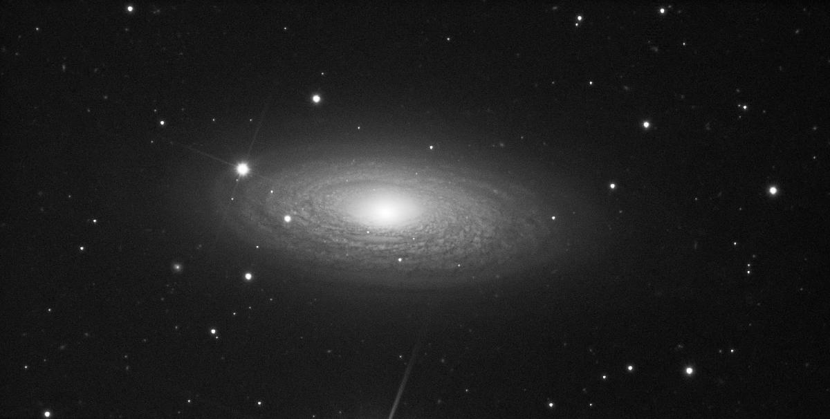 ngc2841 - nb ngc2841 - nb