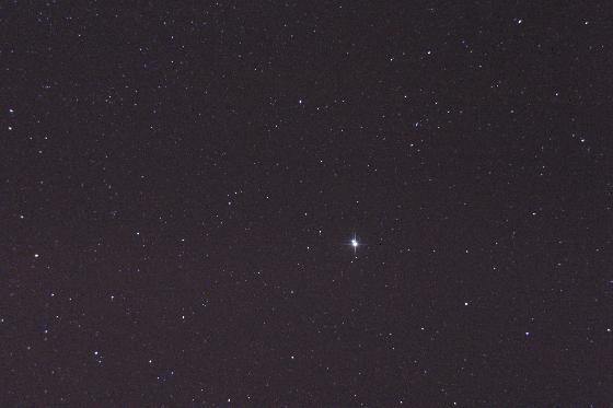 Albireo Albireo