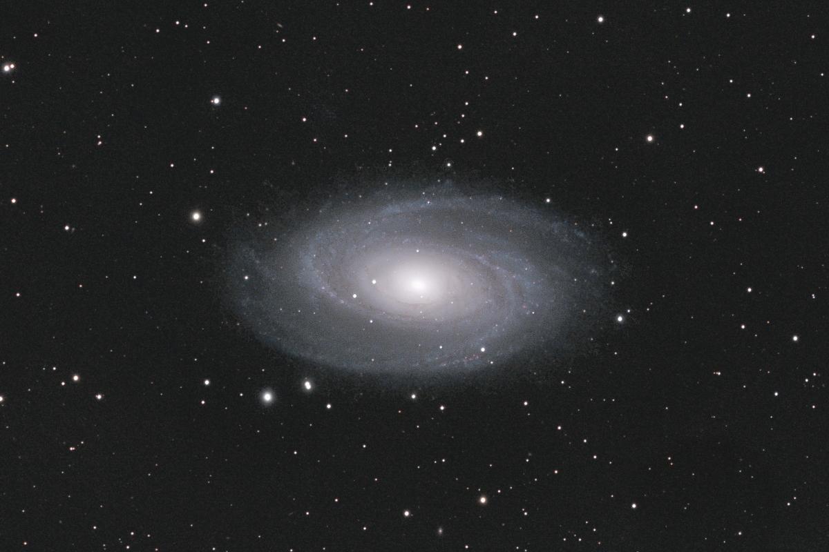 M81-2019-02-26-120i-Crop M81-2019-02-26-120i-Crop