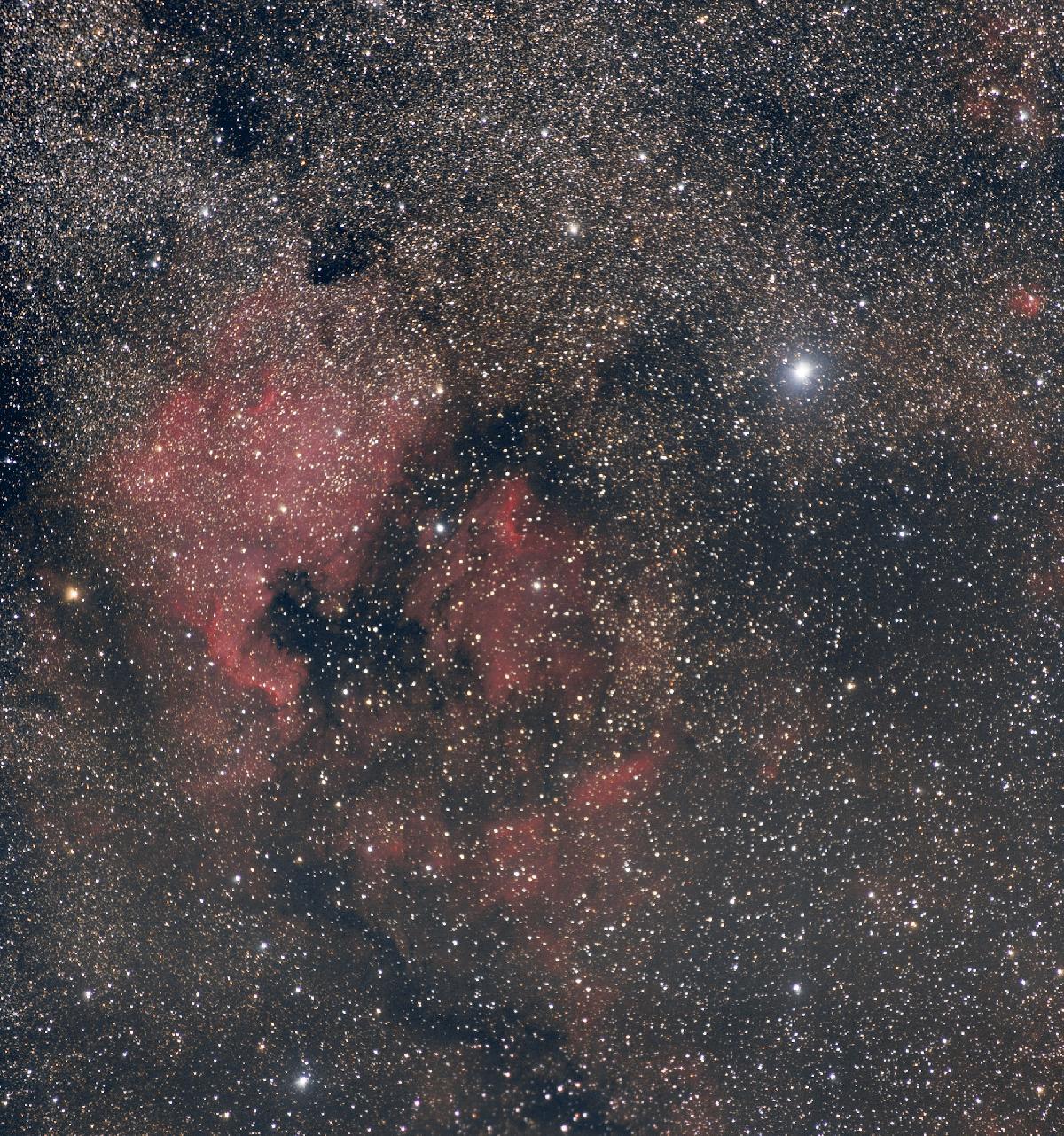 NGC7000 & Deneb NGC7000 & Deneb