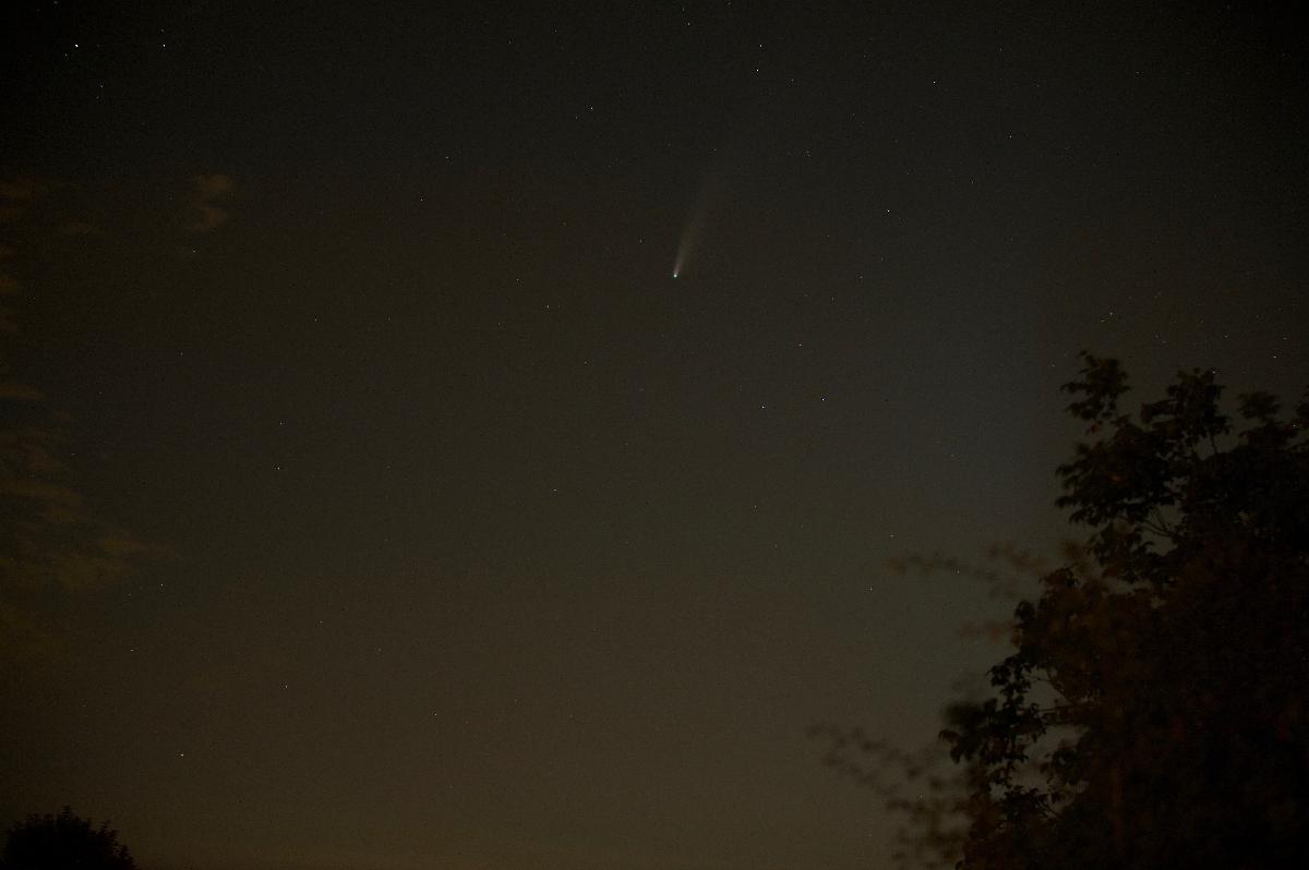 Neowise (bis) Neowise (bis)