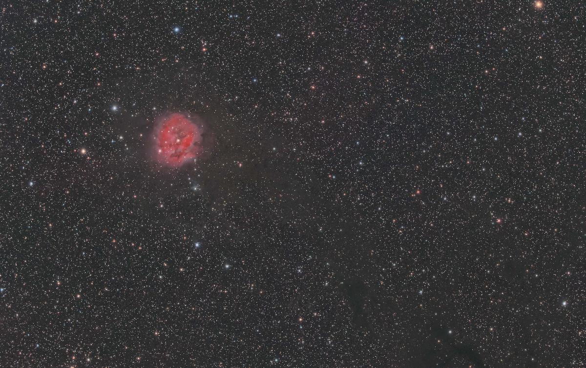 Un cocon au milieu des étoiles (IC5146)