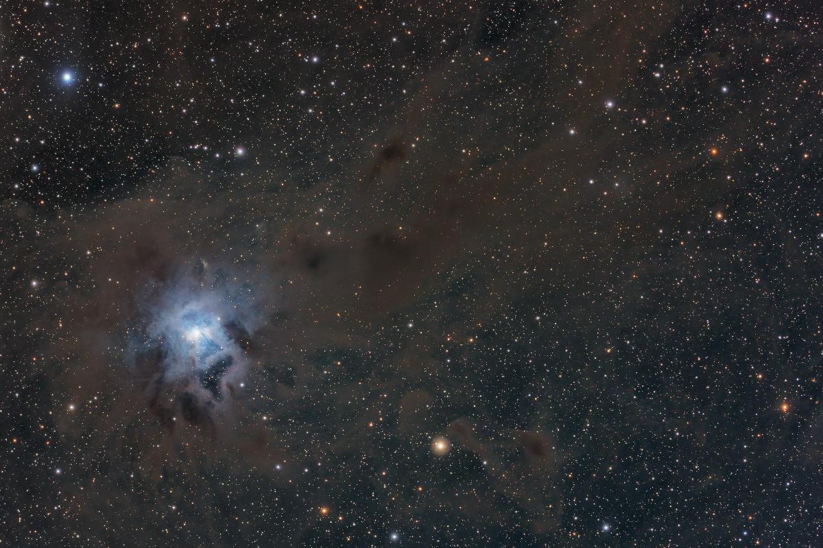 NGC7023 - Nébuleuse de l'Iris