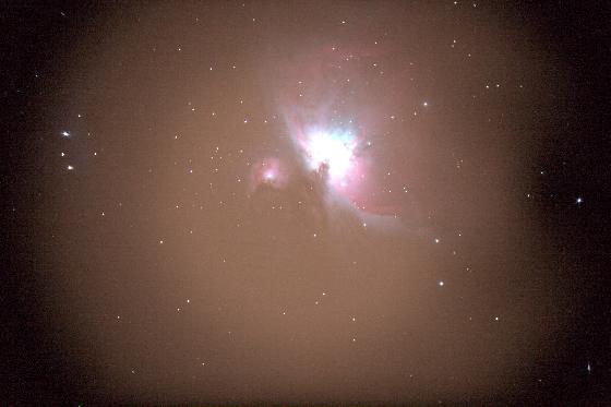 M42 brute M42 brute