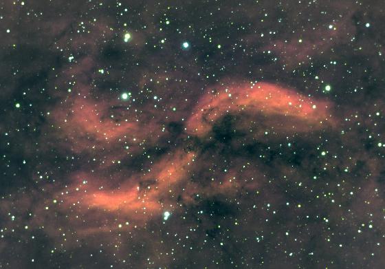 X nebula