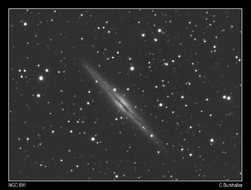 NGC891