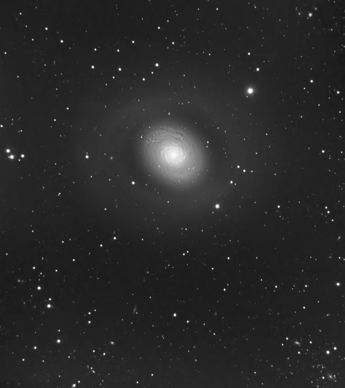 M94 M94