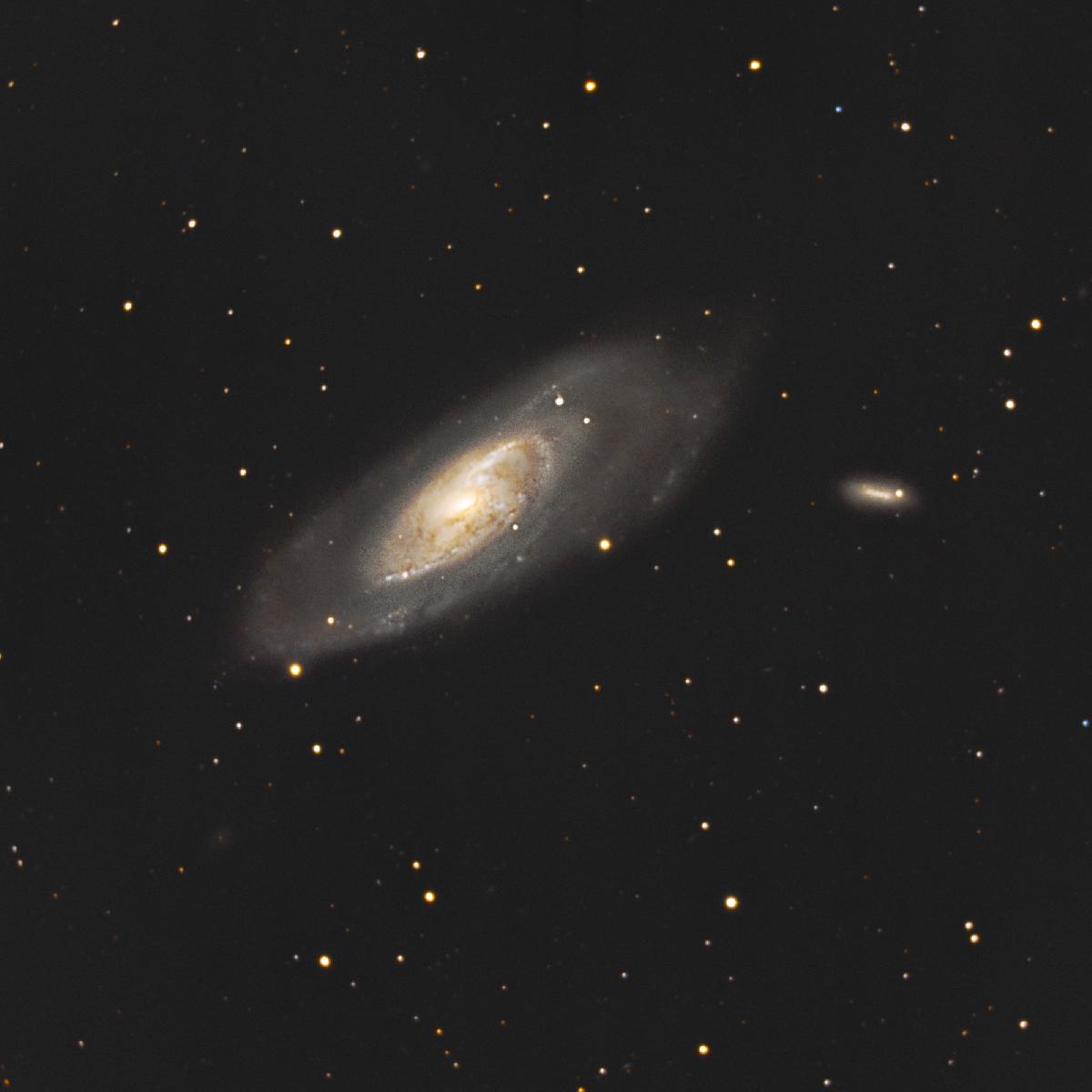 M106 M106