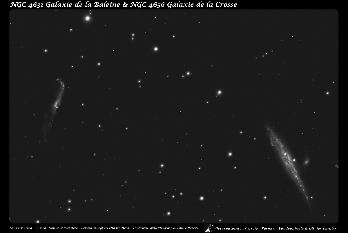 NGC 4631 & 4656 NGC 4631 & 4656