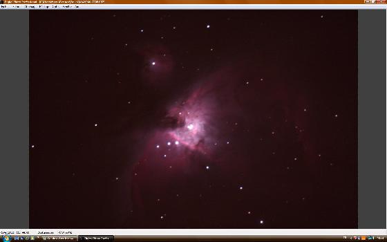 brute m42