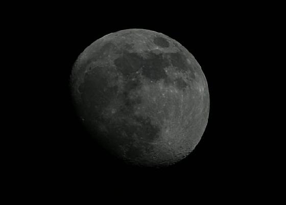 lune lune