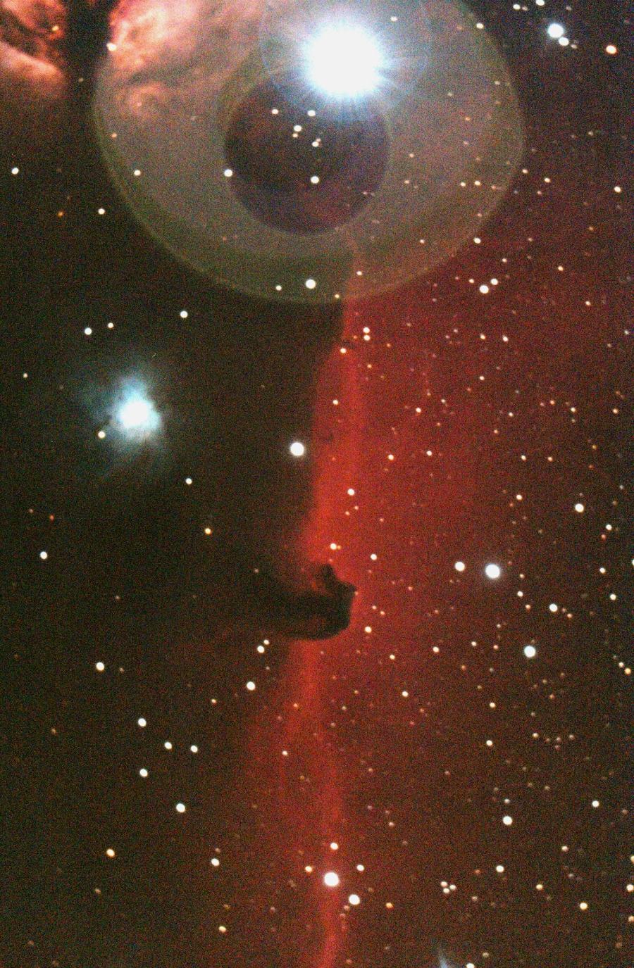 B33