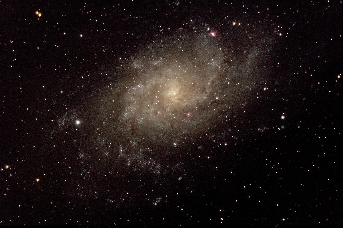 M33