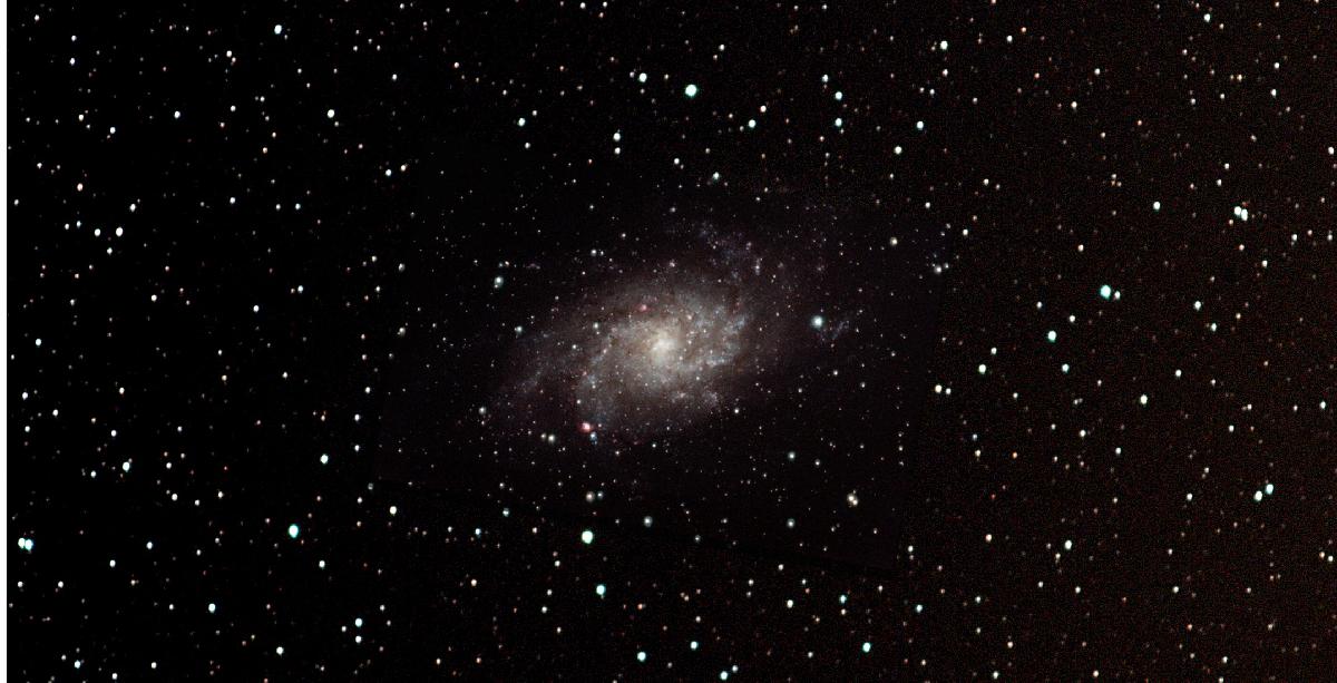 M33