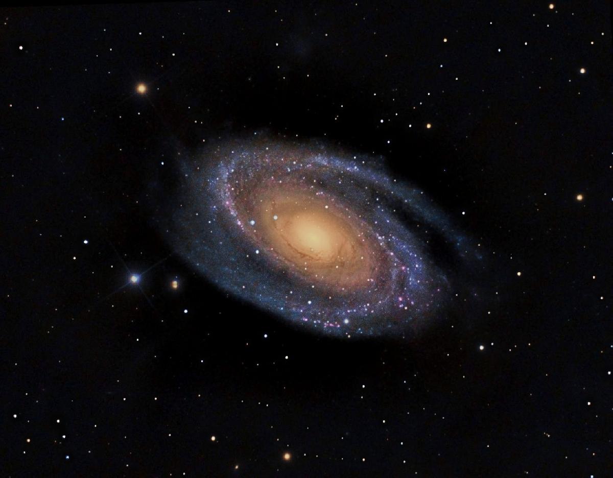 M81 M81