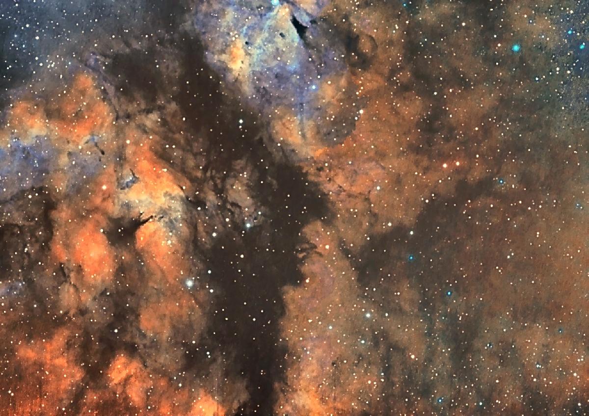 IC 1318