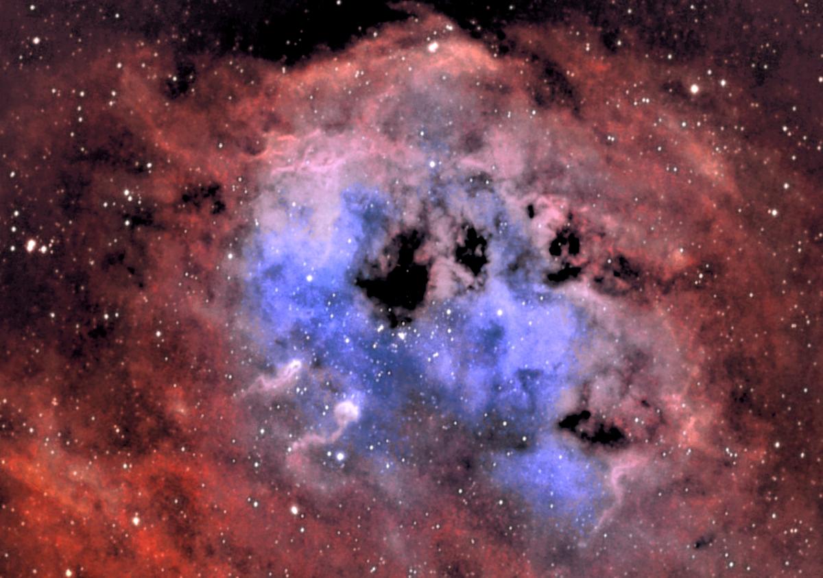 IC 410