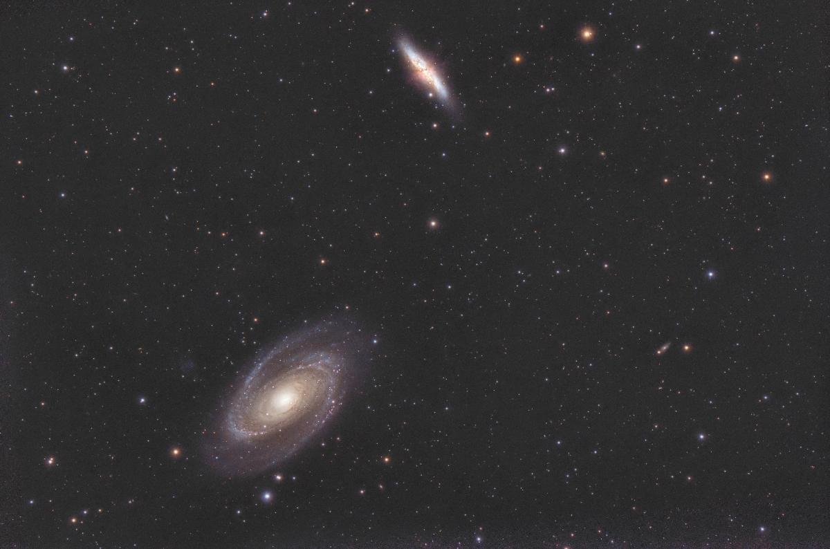 m81 m82 m81 m82
