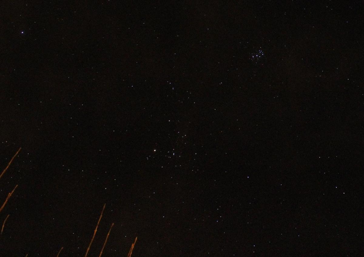 les pleiades et le taureau les pleiades et le taureau