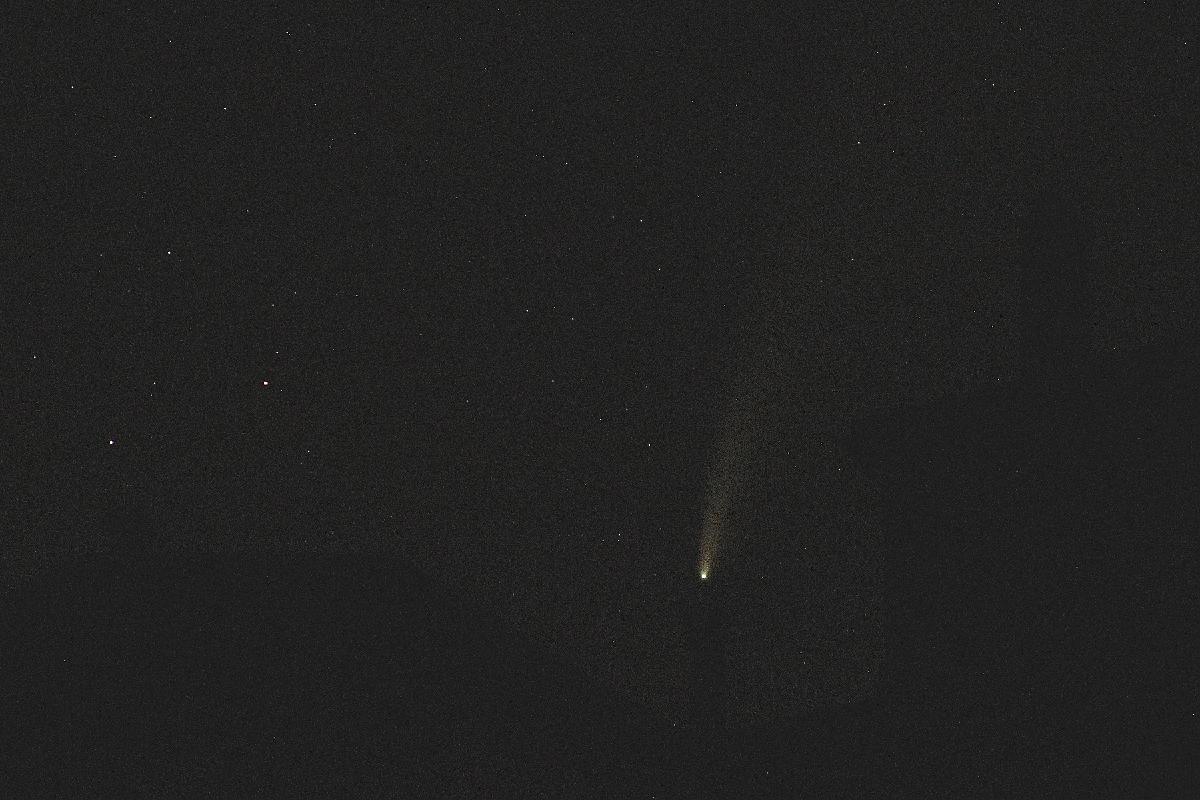 neowise