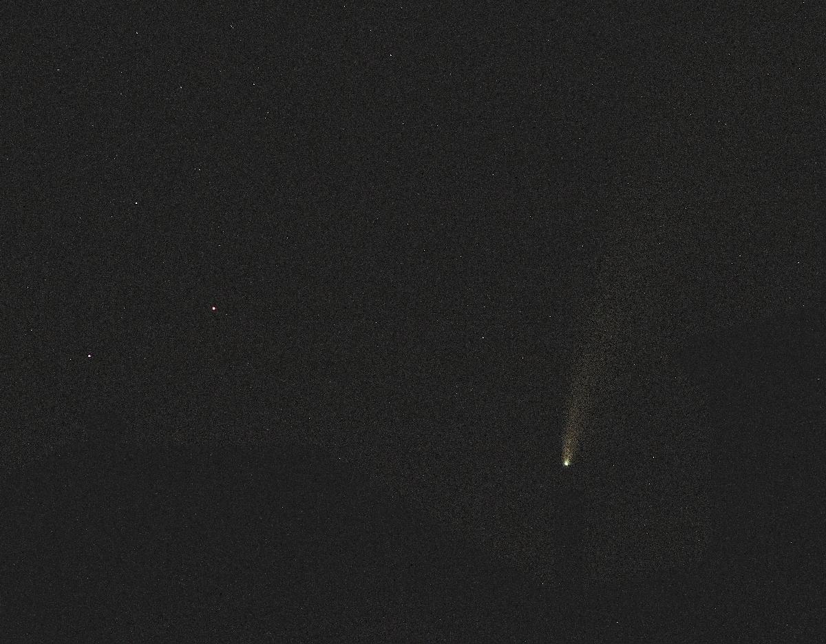 Neowise Neowise