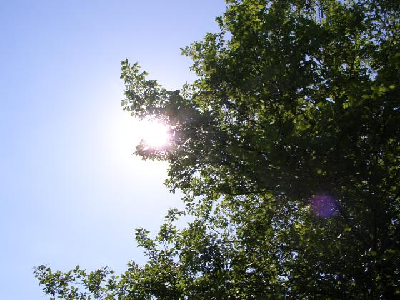 Soleil au zénith Soleil au zénith