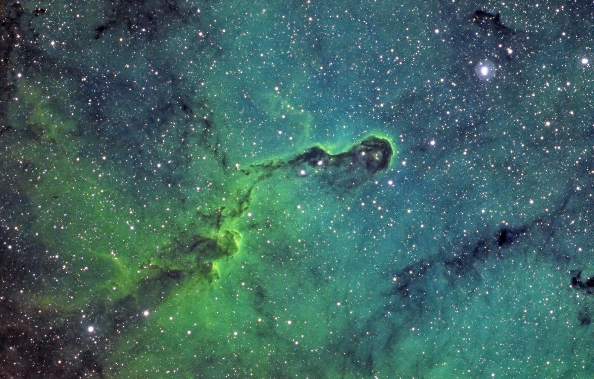 IC1398 SHO IC1398 SHO