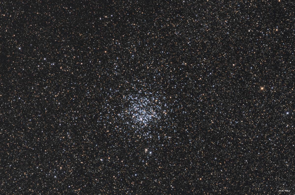 The Wild Duck Cluster