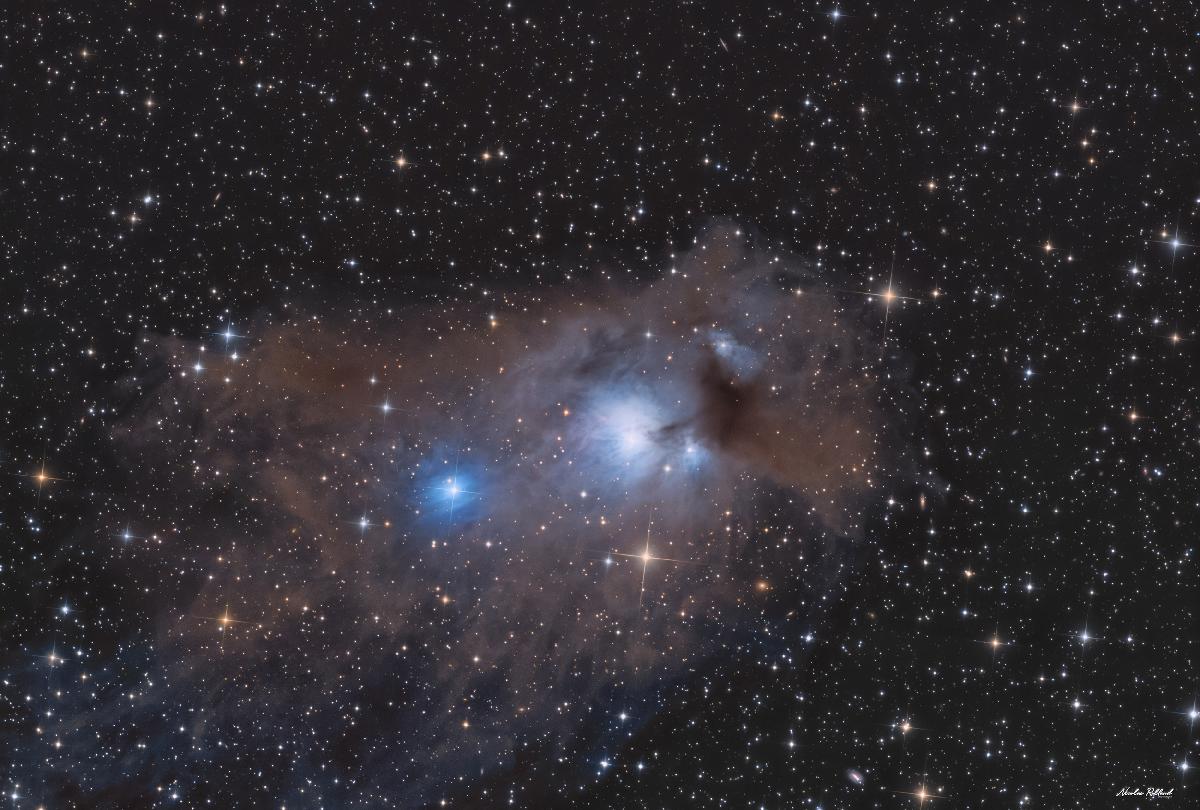Globule cométaire 12 - NGC 5367